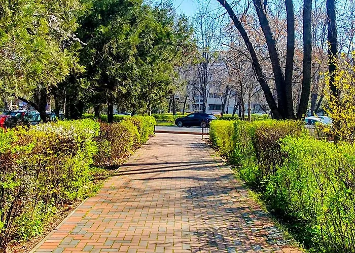 Break Park